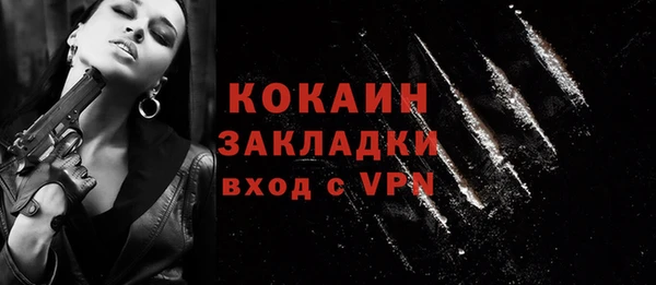 мдпв Гусев