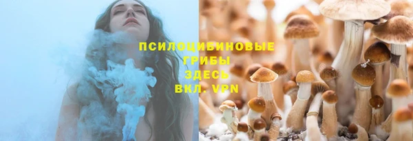 прущие грибы Гусь-Хрустальный