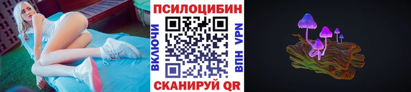 дарнет шоп  Дмитровск  Псилоцибиновые грибы GOLDEN TEACHER 