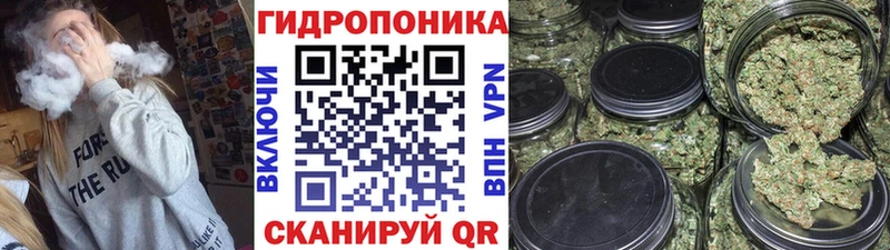 blacksprut ССЫЛКА  цены наркотик  Дмитровск  Марихуана сатива 